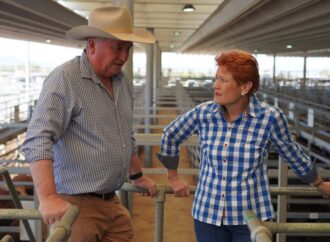 One Nation support soars to highest ever, voters divided on Barnaby Joyce: polling