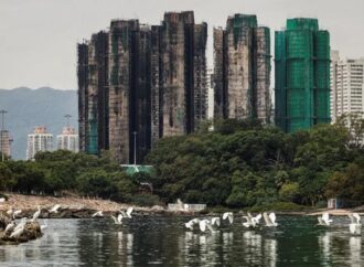 Single Post Template